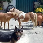 Casinha De Campo- Quintinha Dos Cavalos-