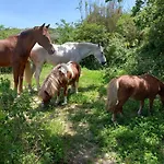 Casinha De Campo- Quintinha Dos Cavalos- Arruda dos Vinhos