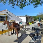 Casinha De Campo- Quintinha Dos Cavalos-