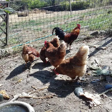 Appartement Casinha De Campo- Quintinha Dos Cavalos- Arruda dos Vinhos