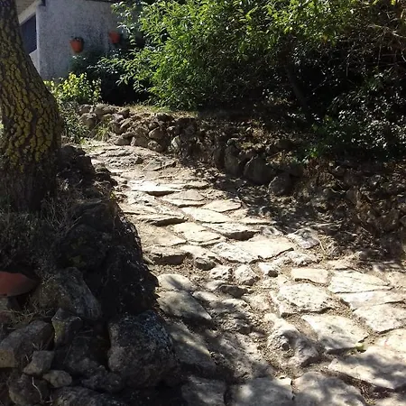 Lägenhet Casinha De Campo- Quintinha Dos Cavalos-