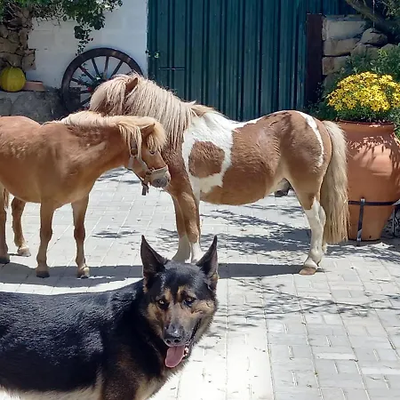 Casinha De Campo- Quintinha Dos Cavalos-