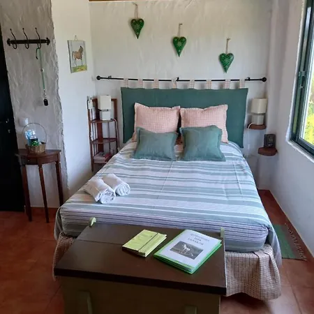 Casinha De Campo- Quintinha Dos Cavalos- *