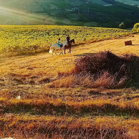 Apartman Casinha De Campo- Quintinha Dos Cavalos- Arruda dos Vinhos