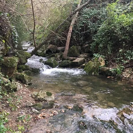 アパート Casinha De Campo- Quintinha Dos Cavalos- *