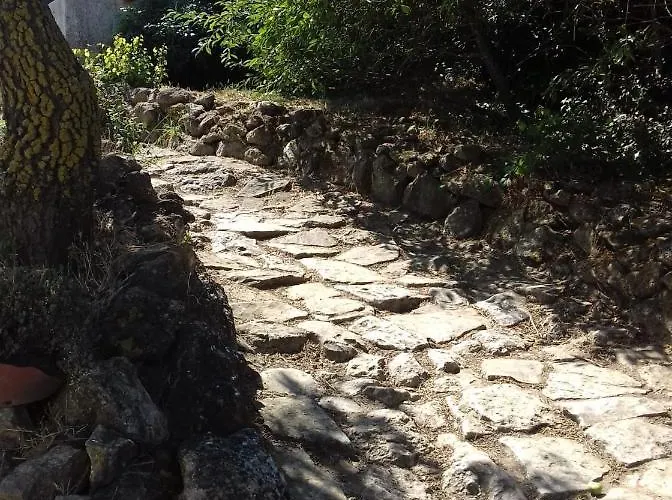 شقة Casinha De Campo- Quintinha Dos Cavalos-