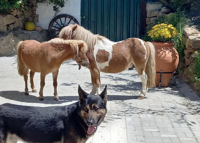 Casinha De Campo- Quintinha Dos Cavalos-