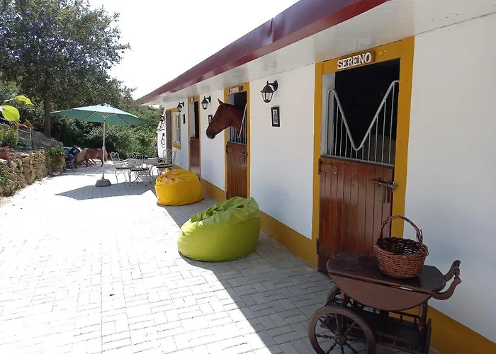 Casinha De Campo- Quintinha Dos Cavalos- *