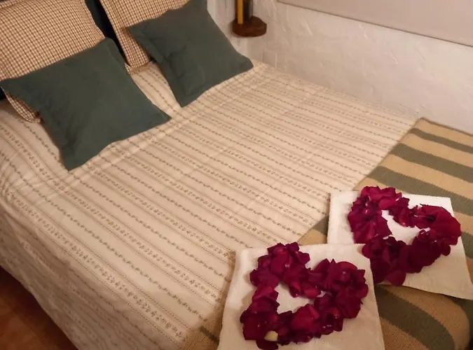 Casinha De Campo- Quintinha Dos Cavalos- 아후다 두스 비뉴스