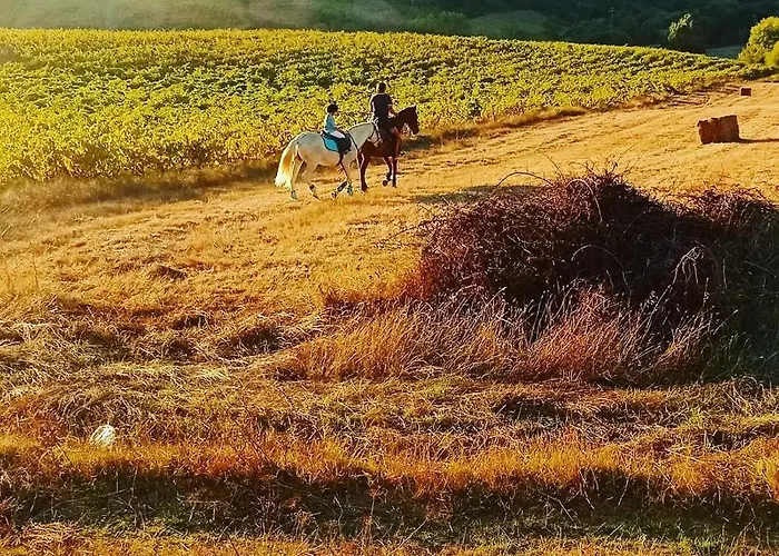 شقة Casinha De Campo- Quintinha Dos Cavalos- أرودا دوس فينهوس